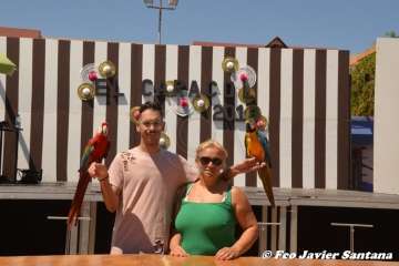 Espectáculo de aves exóticas de Paco Pluma en El Caracol (Foto Francisco Javier Santana)